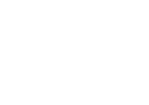shotgun wedding workshop